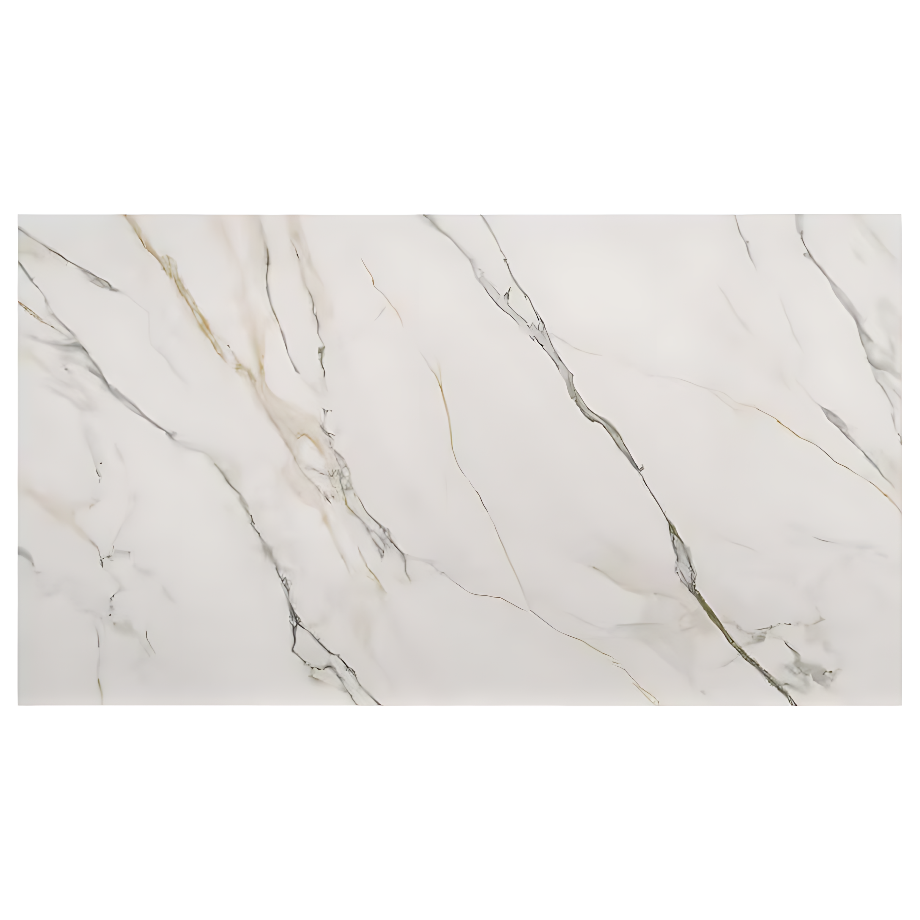 d1451-dorri