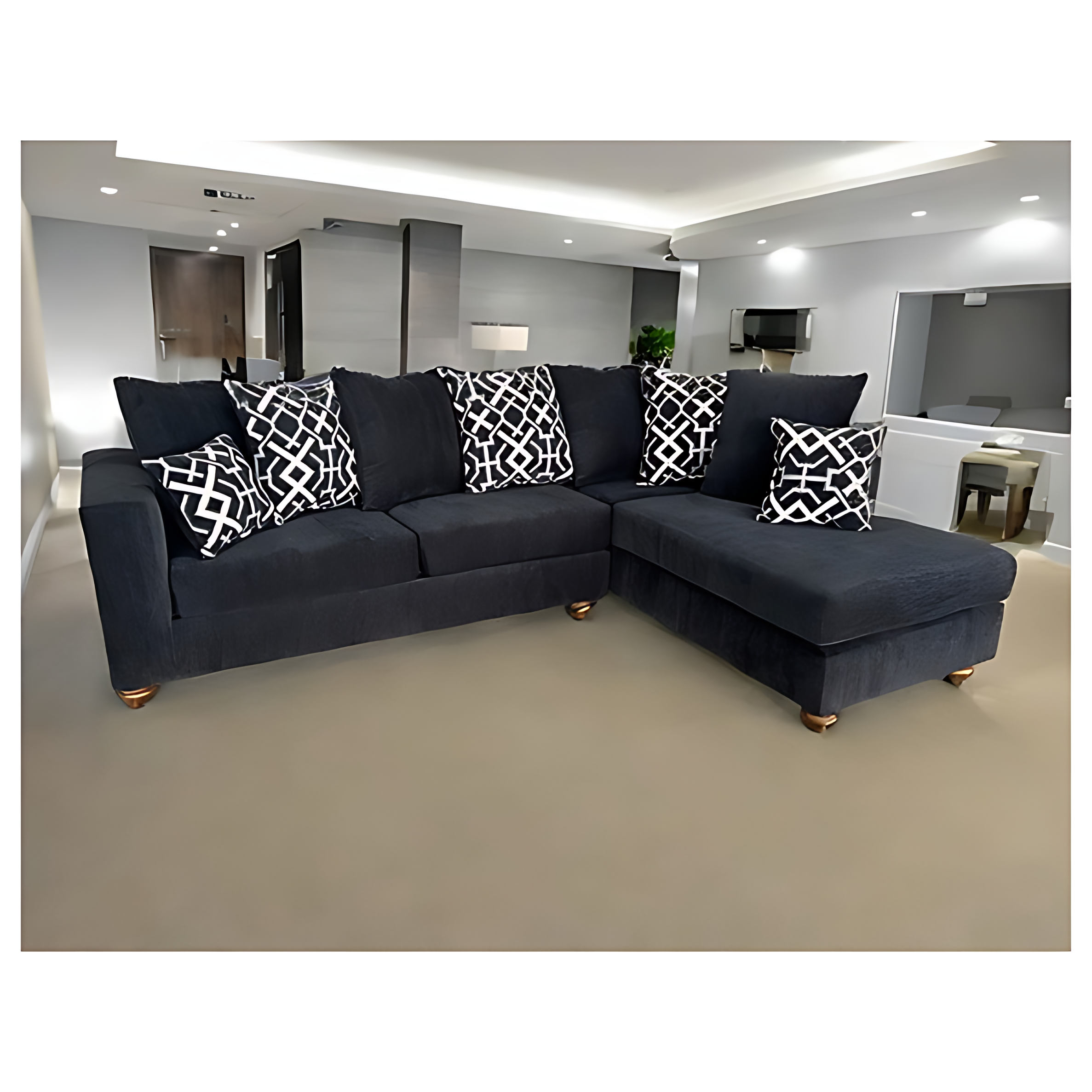 s305-graphite-sectional
