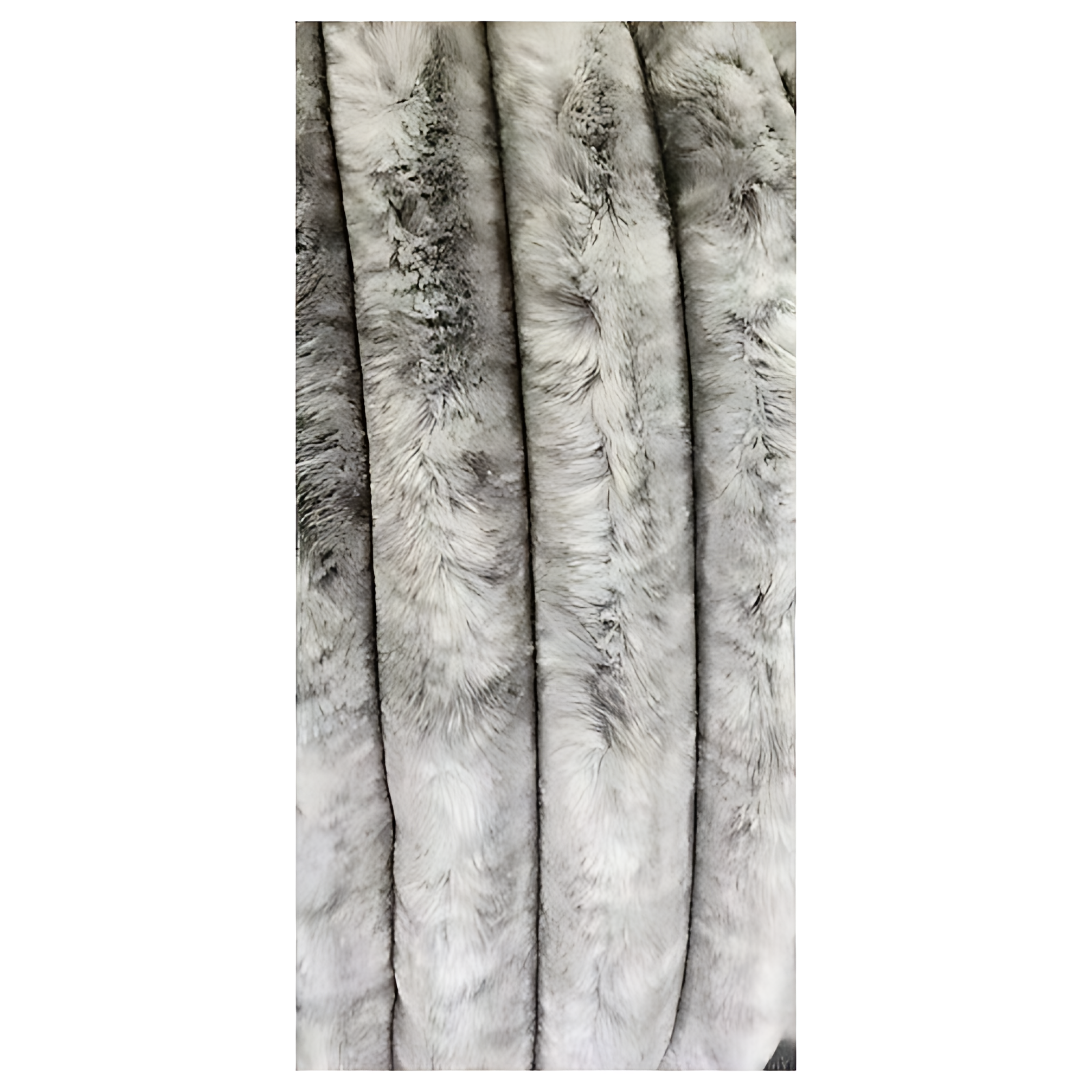 s325-kora-smoke-1